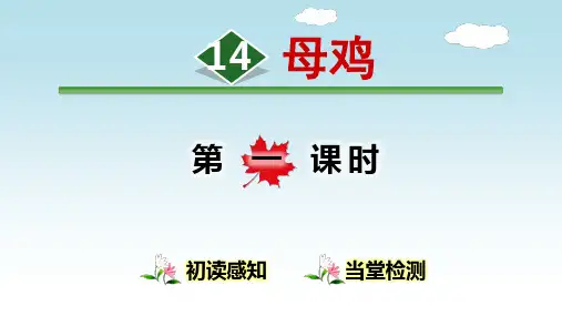 《母鸡》(完整版)PPT课件