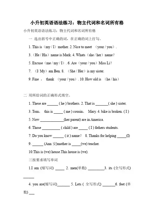 小升初英语语法练习：物主代词和名词所有格