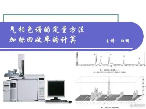气相色谱定量方法及加标回收率的计算_图文.ppt