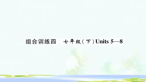 2019中考英语二轮复习第一部分教材知识梳理篇七下Units5_8综合练课件人教新目标版-推荐ppt版本