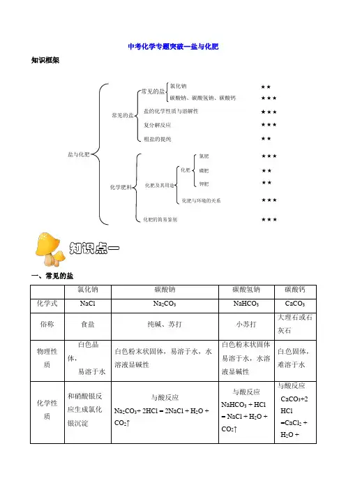 中考化学专题突破--盐与化肥