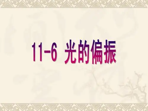 11-6 光的偏振