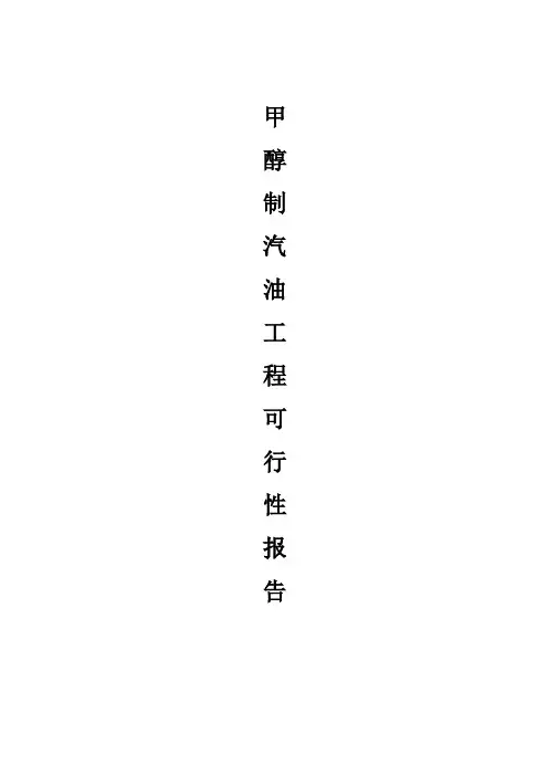 甲醇制汽油工程可行性报告