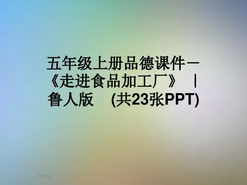 五年级上册品德课件-《走进食品加工厂》 ｜鲁人版    (共23张PPT)