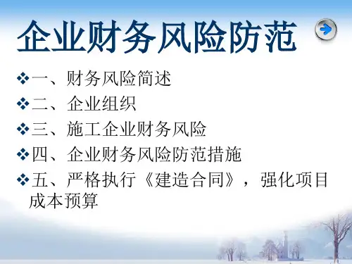 企业财务风险防范