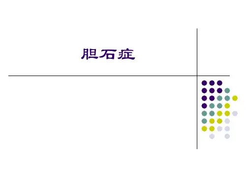 胆石症 PPT课件