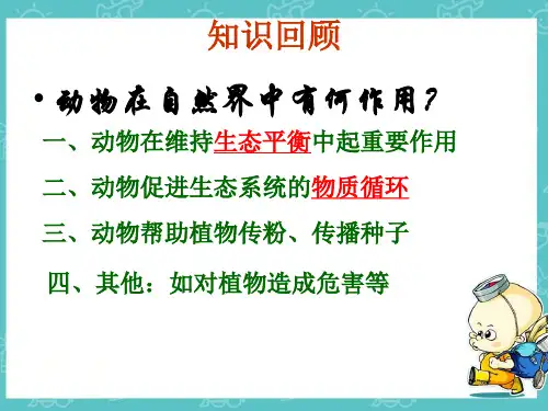 动物与人类生活的关系