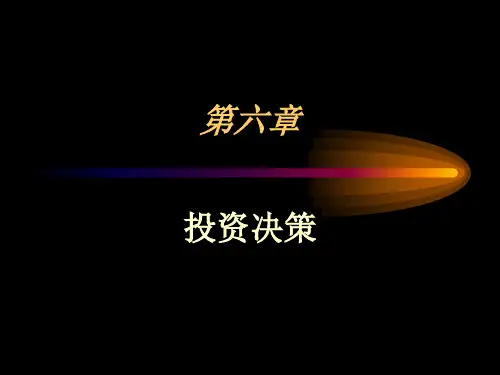 第六章 投资管理