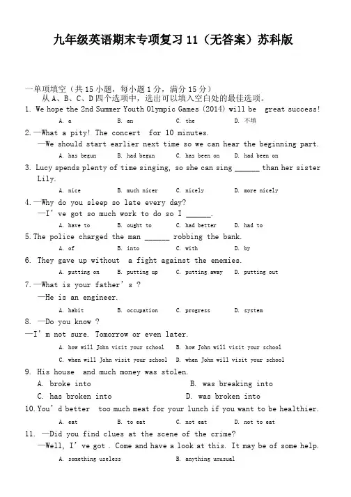 九年级英语期末专项复习11(无答案)苏科版