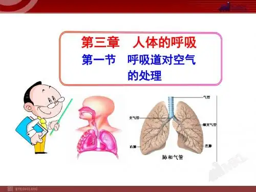 2014初中生物多媒体教学课件：第3章 第1节  呼吸道对空气的处理(人教版七年级下册)