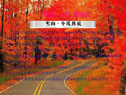 中考化学 第二部分 专题四 图像题课件