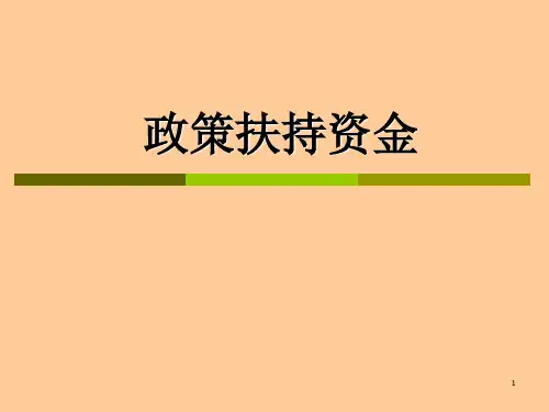 政策扶持资金