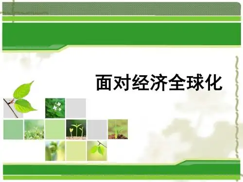 政治必修Ⅰ人教新课标4.11.1面对经济全球化.