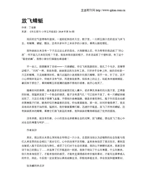 放飞蜻蜓