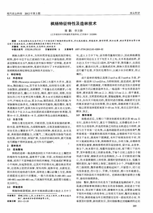 枫杨特征特性及造林技术
