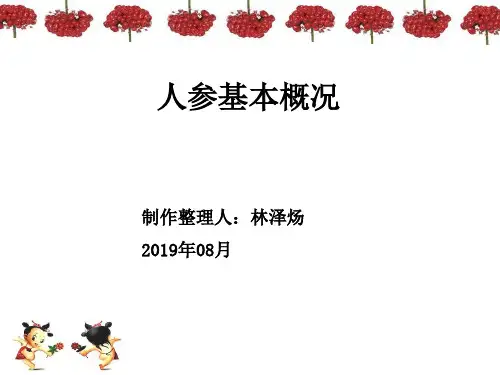 人参基本概况201908