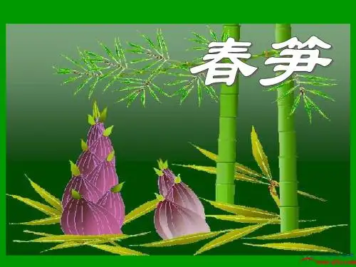 《春笋》ppt课件3