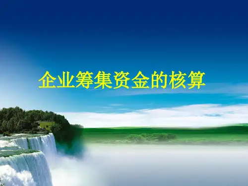 企业筹集资金的核算精选文档PPT课件