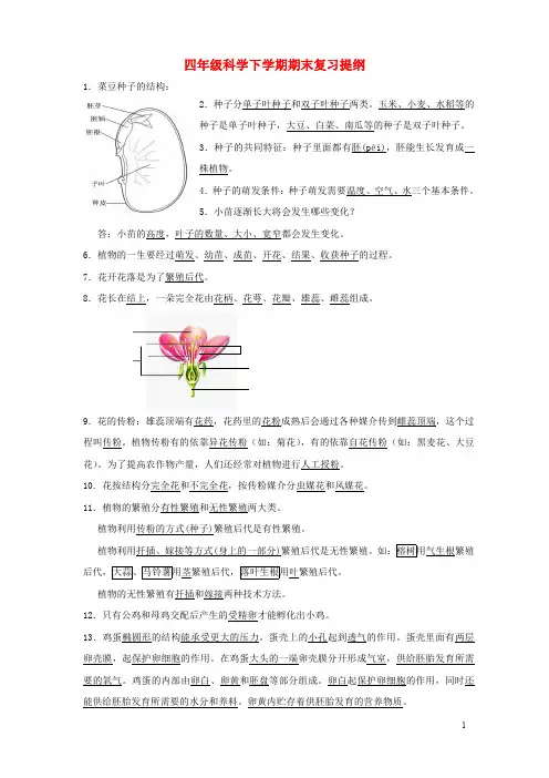 四年级科学下学期期末复习提纲 湘教版