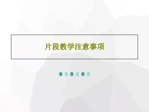 片段教学注意事项20页PPT
