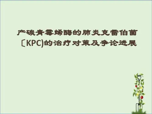 KPC的治疗方案及研究进展