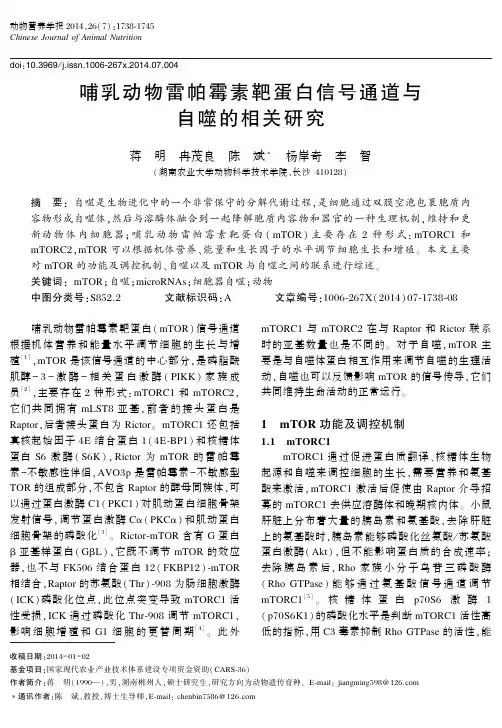哺乳动物雷帕霉素靶蛋白信号通道与自噬的相关研究