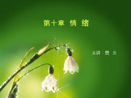 模板7第十章情绪和情感