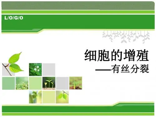最新高中生物有丝分裂ppt精选