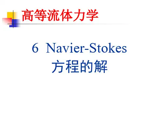6 Navier-Stokes方程的解