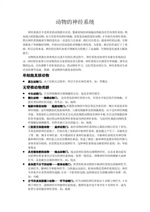 动物的神经系统
