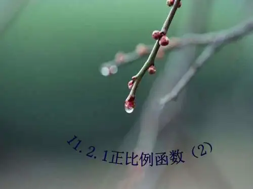 正比例函数