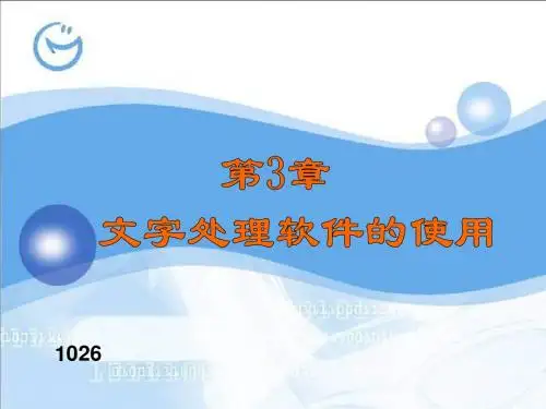 第3章文字处理软件的使用ppt课件-PPT文档资料