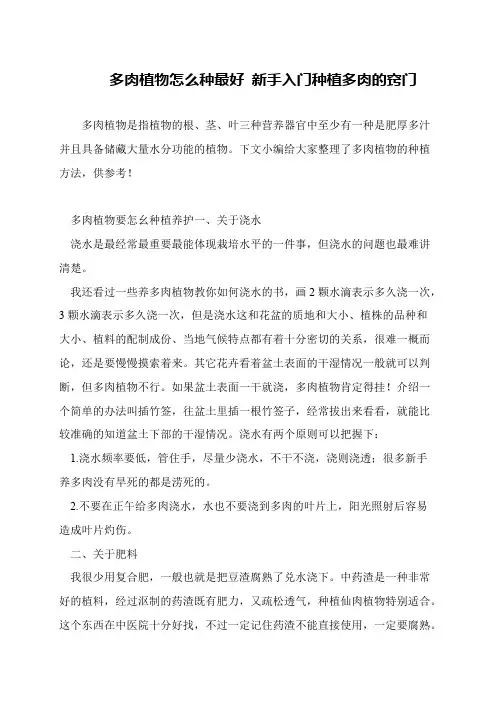 多肉植物怎么种最好 新手入门种植多肉的窍门