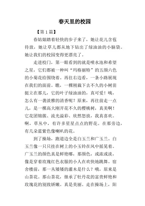 春天里的校园