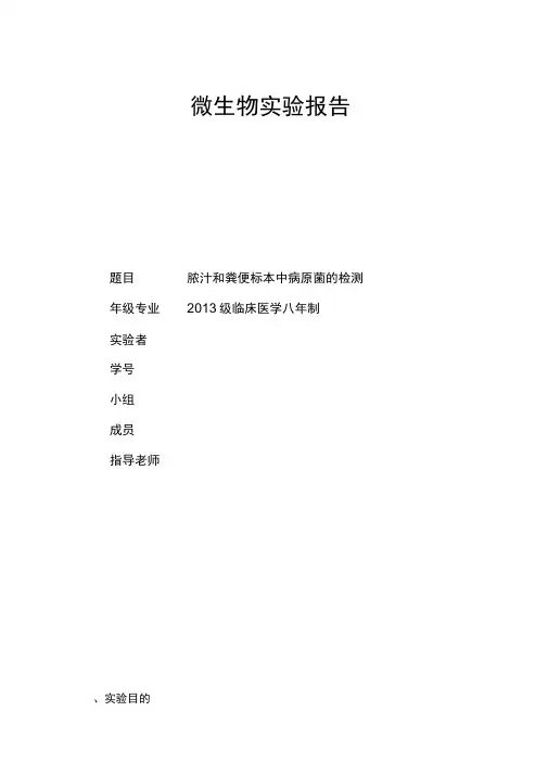 微生物实验报告细菌
