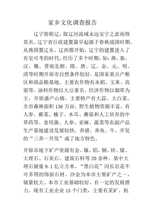 家乡文化调查报告