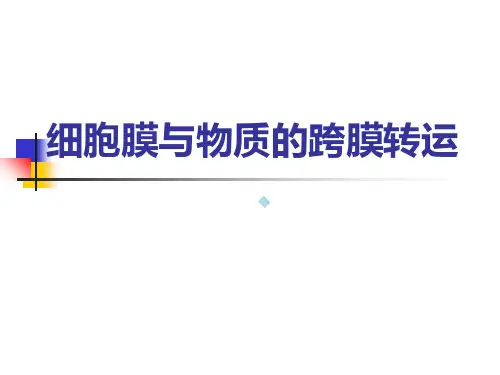 第一章_细胞膜与物质的跨膜转运