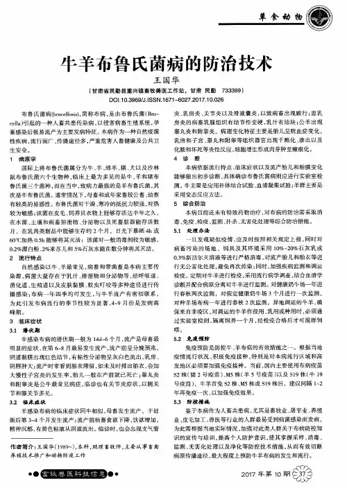 牛羊布鲁氏菌病的防治技术