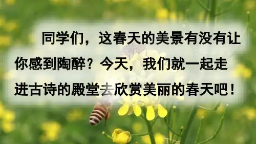 1 古诗三首