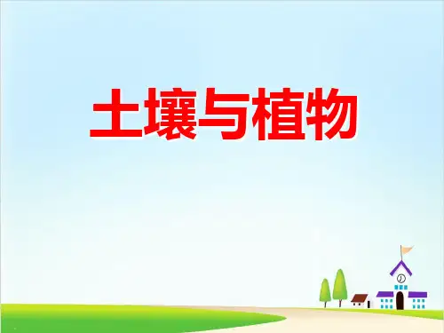 《土壤与植物》PPT【精美版】