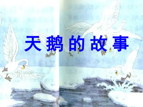 天鹅的故事