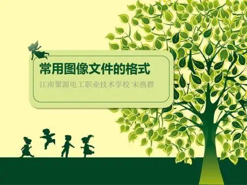 常用图像文件的格式-说课课件