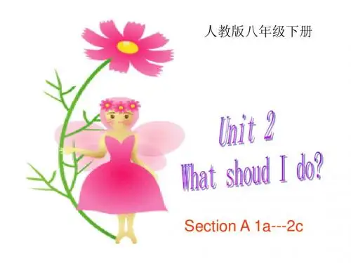 人教版初二八年级英语下册 Unit2 What should I do_ PPT课件