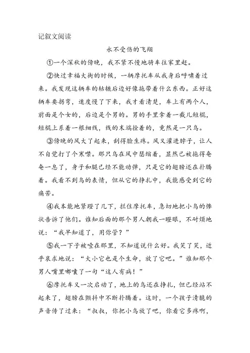 《永不受伤的飞翔》阅读练习及答案