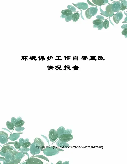 环境保护工作自查整改情况报告