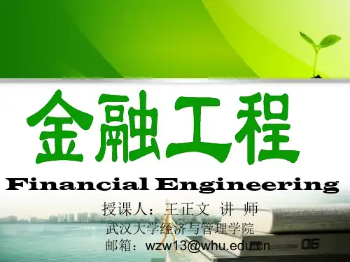 第十章 期权的回报与价格分析