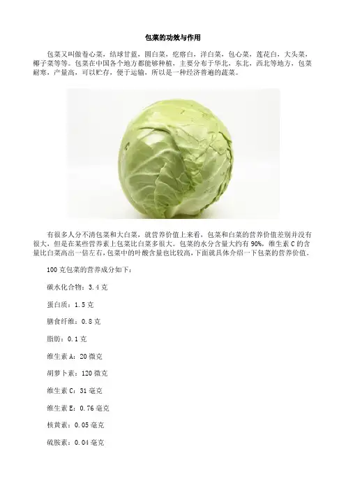 包菜的功效与作用