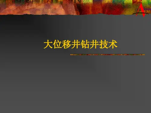 大位移井