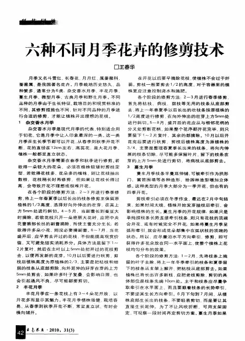 六种不同月季花卉的修剪技术