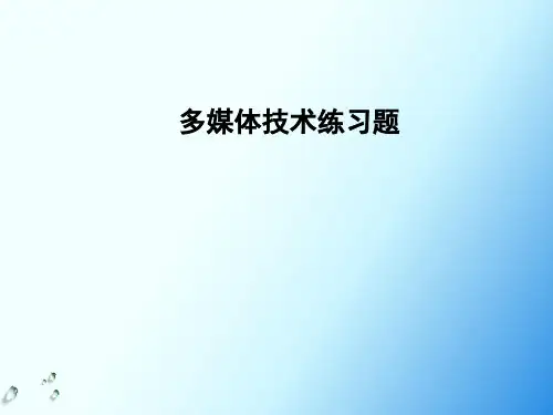 多媒体技术练习题